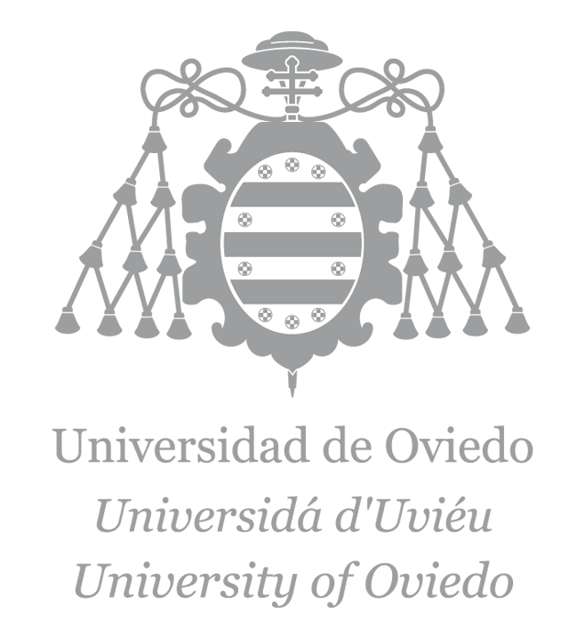 Logo Universidad De Oviedo Plata Centrado Esteban Fern ndez S nchez logo-universidad-de-oviedo-plata-centrado-esteban-fern-ndez-s-nchez